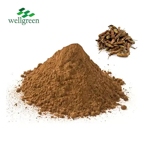 How does Spica Prunellae Extract Support Immune Function?